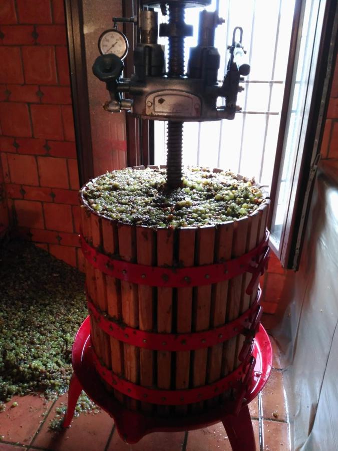 Casa Rural La Bodega, Ofrece Cata De Vino Gratis Horche Екстер'єр фото