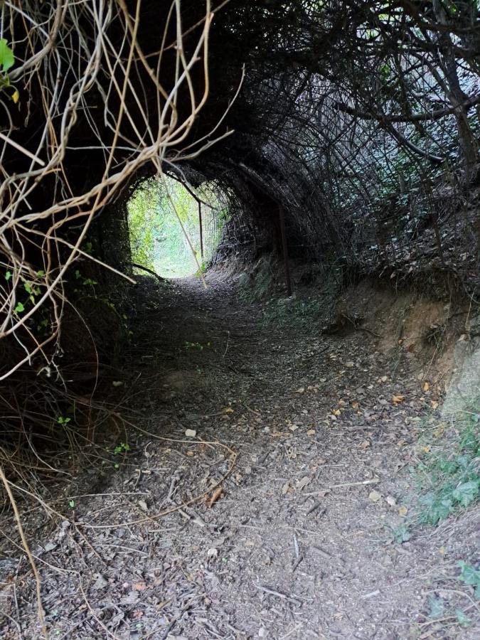 Casa Rural La Bodega, Ofrece Cata De Vino Gratis Horche Екстер'єр фото